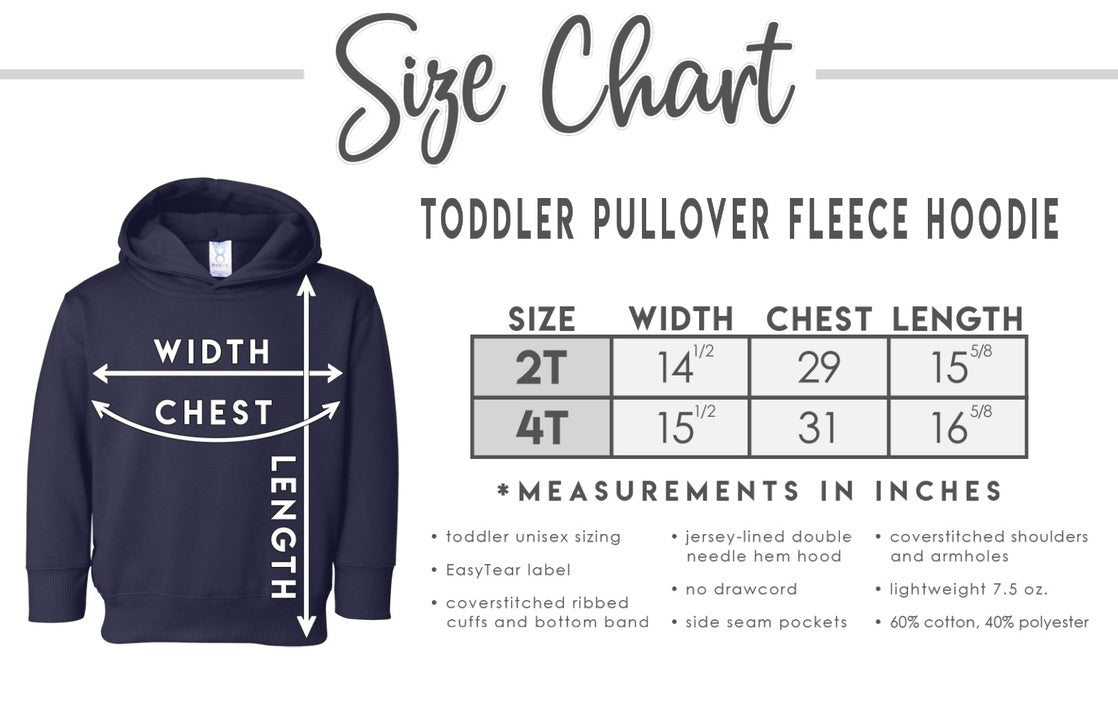 PRE-ORDER: Toddler Hoodie