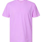 PRE-ORDER: “Sun. Salt. Sand." Vintage Wash Tee