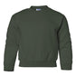 PRE-ORDER: Youth Crewneck