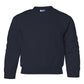 PRE-ORDER: Youth Crewneck