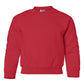 PRE-ORDER: Youth Crewneck