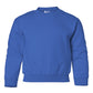 PRE-ORDER: Youth Crewneck