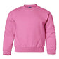 PRE-ORDER: Youth Crewneck