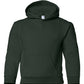 PRE-ORDER: Youth Pullover Hoodie