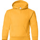 PRE-ORDER: Youth Pullover Hoodie