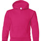 PRE-ORDER: Youth Pullover Hoodie