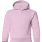 PRE-ORDER: Youth Pullover Hoodie