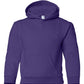 PRE-ORDER: Youth Pullover Hoodie