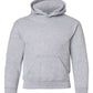 PRE-ORDER: Youth Pullover Hoodie