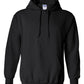 PRE-ORDER Classic Hoodie