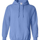 PRE-ORDER Classic Hoodie