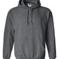 PRE-ORDER Classic Hoodie