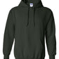 PRE-ORDER Classic Hoodie
