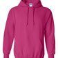 PRE-ORDER Classic Hoodie