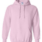 PRE-ORDER Classic Hoodie