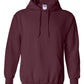 PRE-ORDER Classic Hoodie