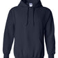 PRE-ORDER Classic Hoodie