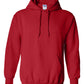 PRE-ORDER Classic Hoodie