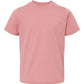 PRE-ORDER: Toddler Favorite Tee