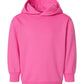 PRE-ORDER: Toddler Hoodie