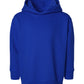 PRE-ORDER: Toddler Hoodie