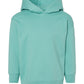 PRE-ORDER: Toddler Hoodie