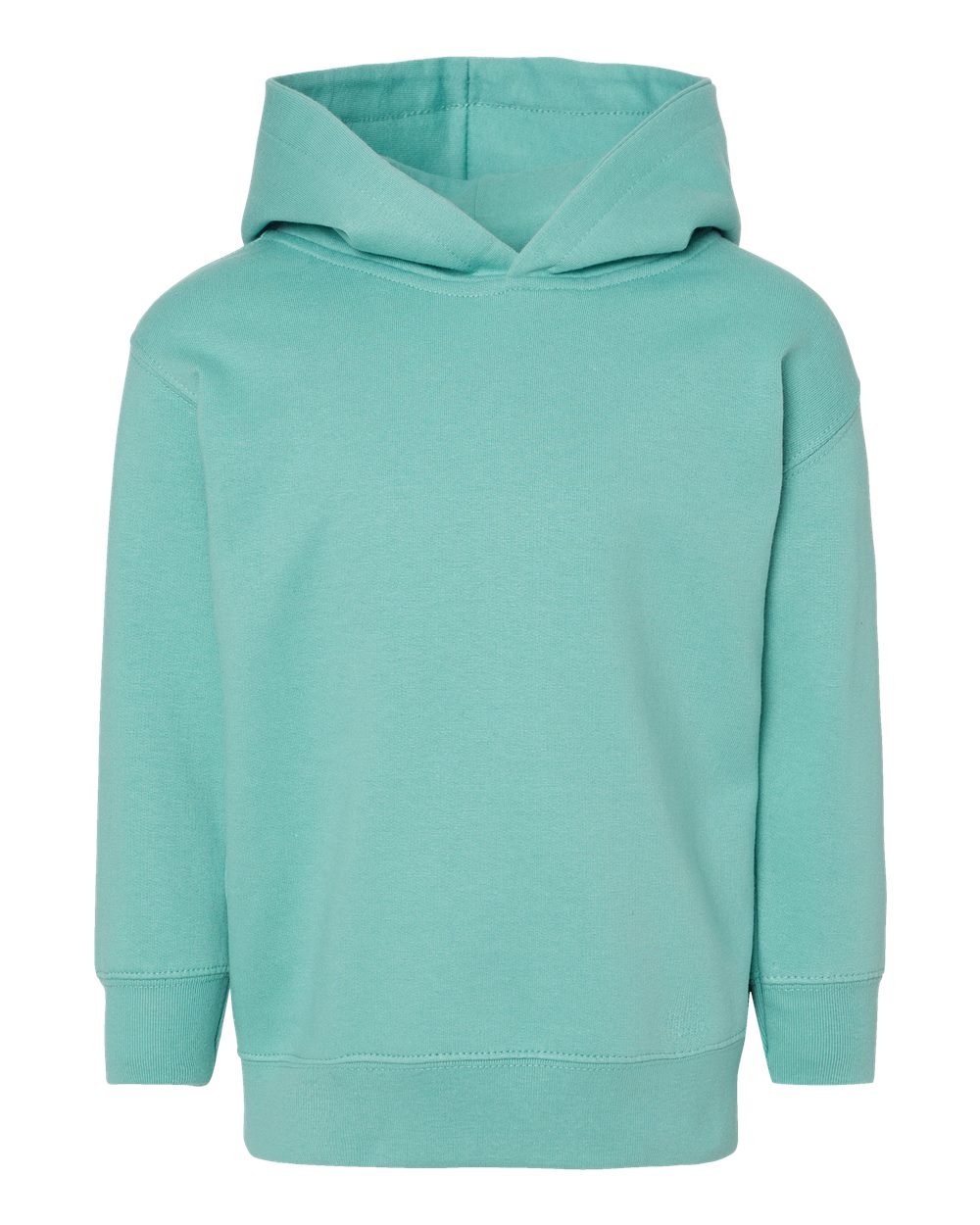 PRE-ORDER: Toddler Hoodie